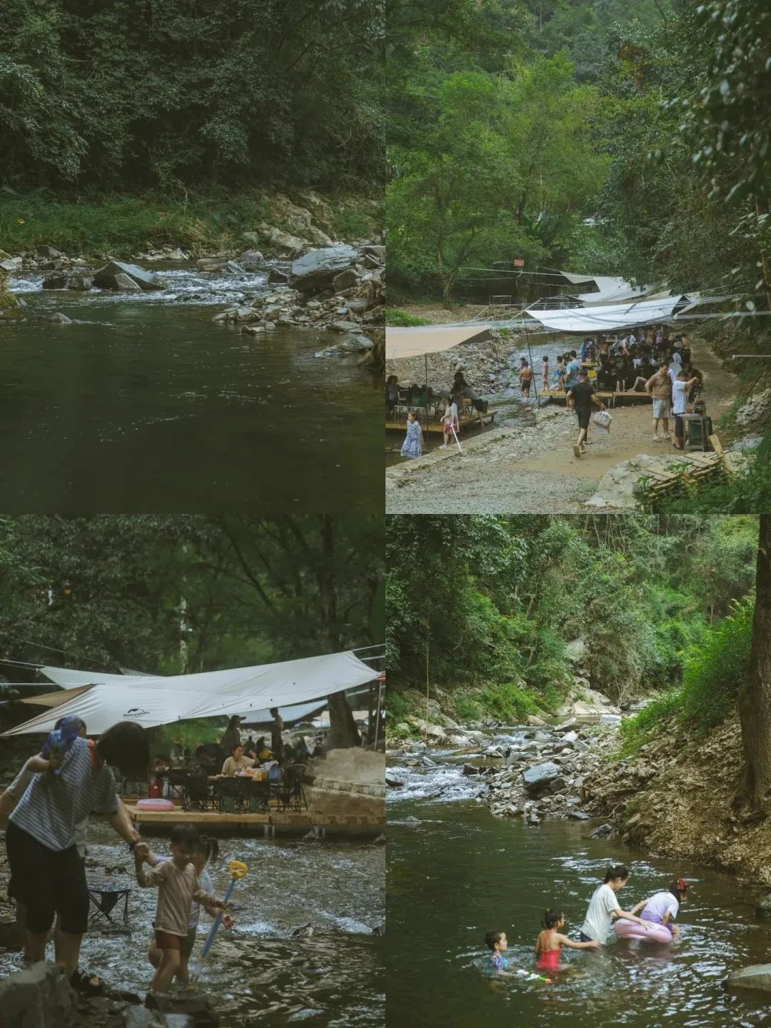 DƬ